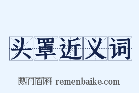 头罩近义词是什么意思的图片